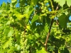 dscf2270