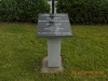 DSCN3656
