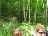 DSCN8015