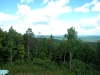 DSCN8021