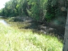 DSCN8178
